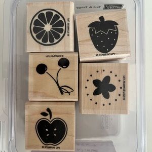 Stampin Up Tart & Tangy stamp set